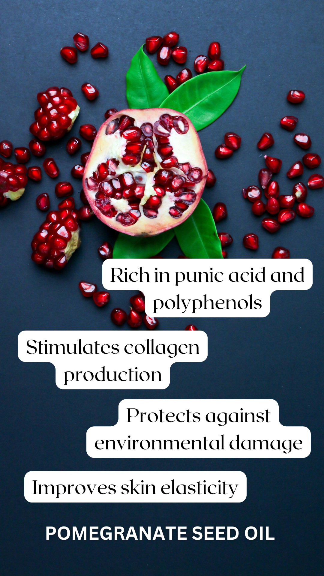 Antioxidant Oil Serum