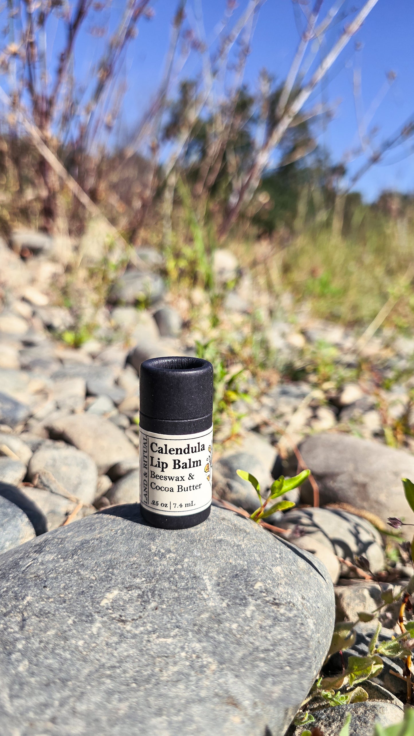 Calendula Lip Balm