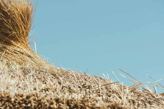 What is Clean Beauty? Defining Our Non-Toxic Skincare Standards