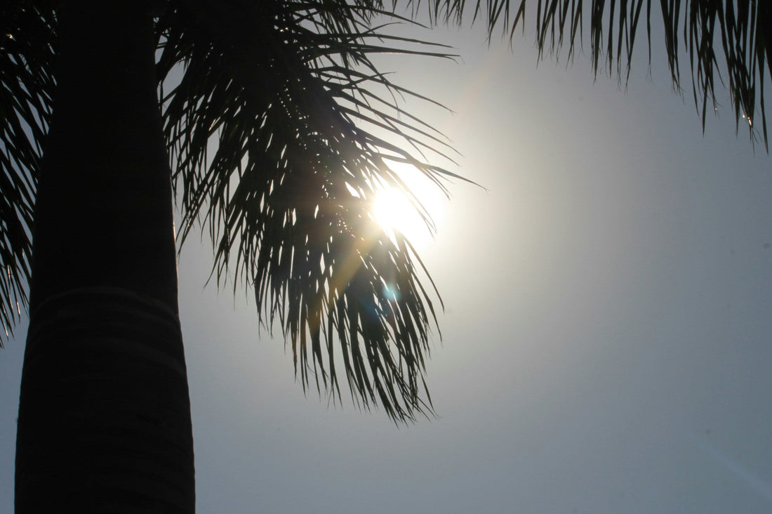 Why Daily SPF Matters More Than You Think