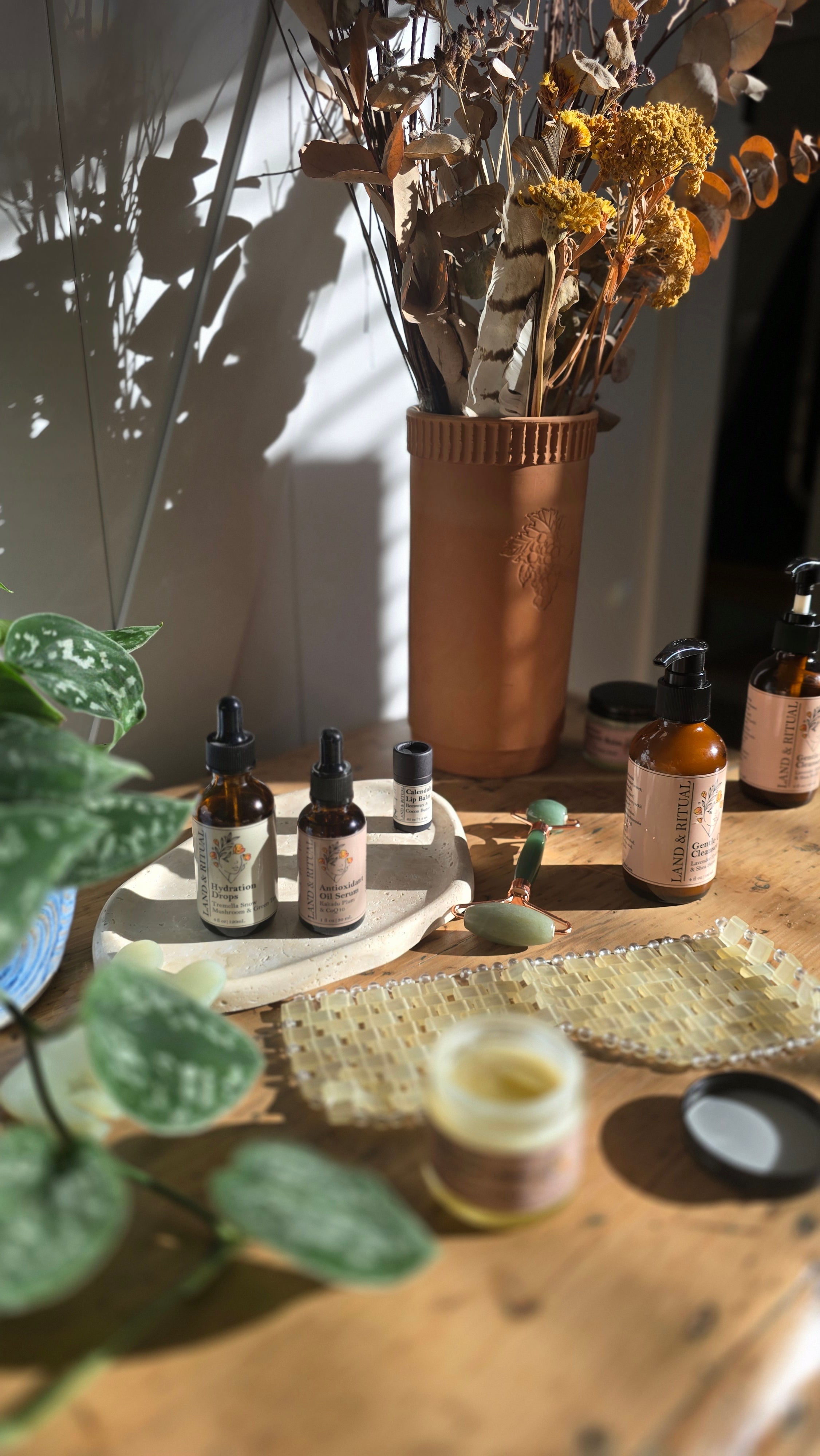 Land & Ritual products on a reflective surface with a plant in the foreground