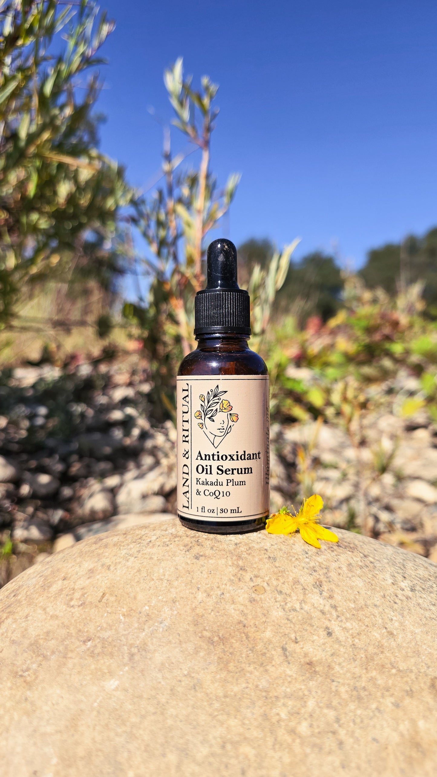 Antioxidant Oil Serum